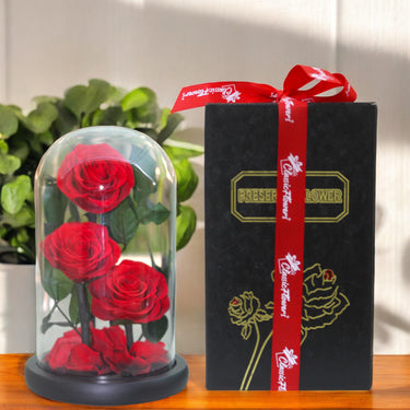 Preserved 3 Red Roses in Dome
